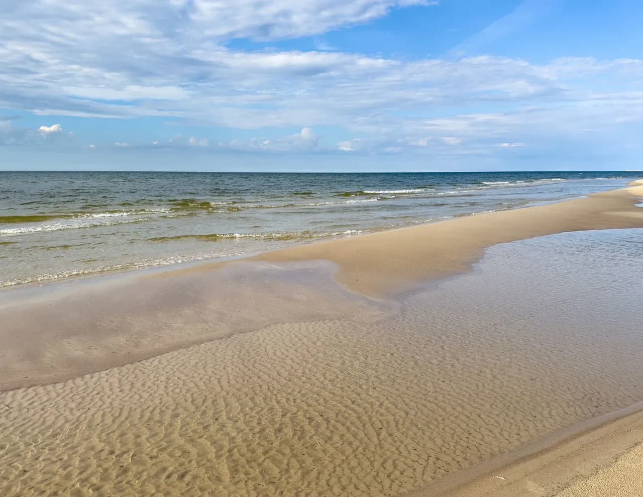 Protisty w Bałtyku: niewidzialni władcy. Jak kształtują morze?