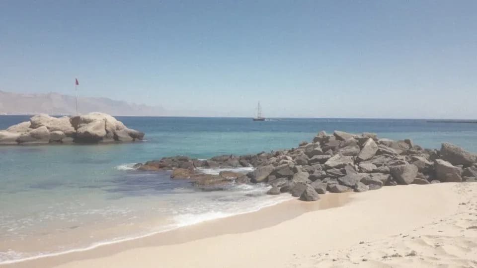 Egipt: Jakie morze wybrać na wakacje? Czerwone czy Śródziemne?