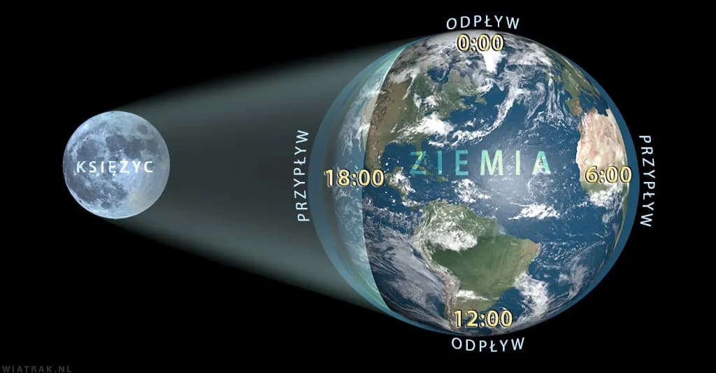 Bałtyk: Kiedy odpływ? Nie Księżyc, a wiatr rządzi wodą!