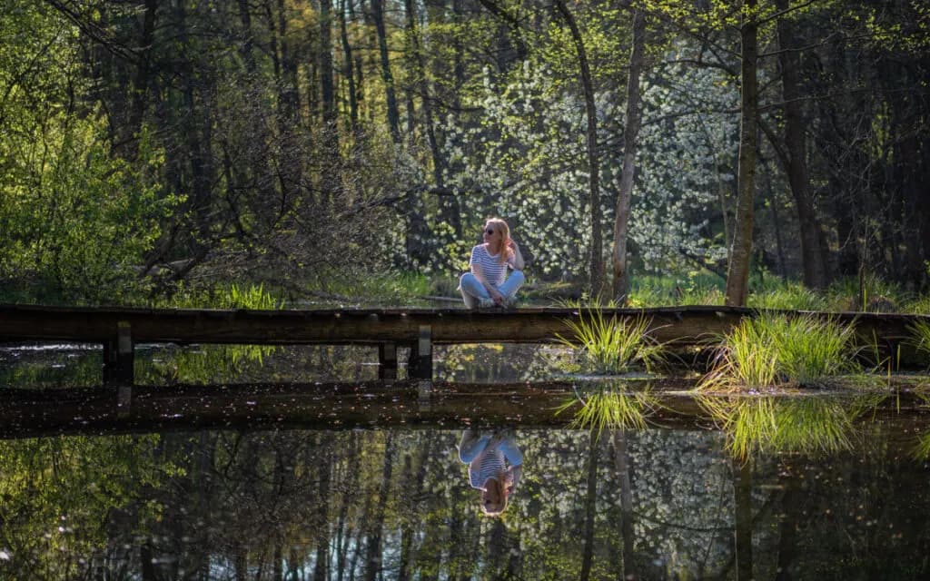 Roztocze: TOP atrakcje i gotowe trasy. Twój przewodnik po polskiej Toskanii