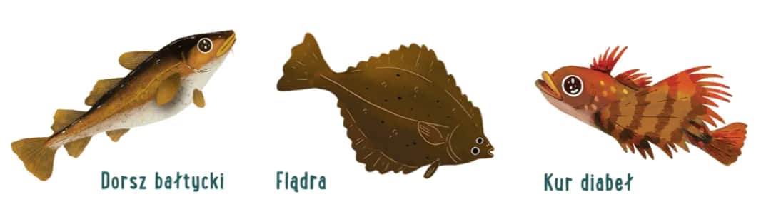 Jakie ryby pływają w Bałtyku? Przewodnik po gatunkach i smażalniach