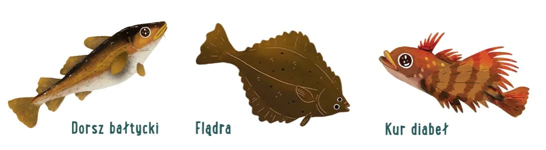 Jakie ryby pływają w Bałtyku? Przewodnik po gatunkach i smażalniach