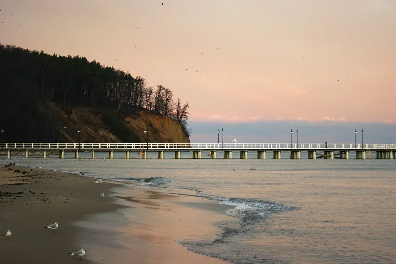 Jastrzębia Góra: Gdzie zjeść pysznie? Przewodnik po smakach Bałtyku