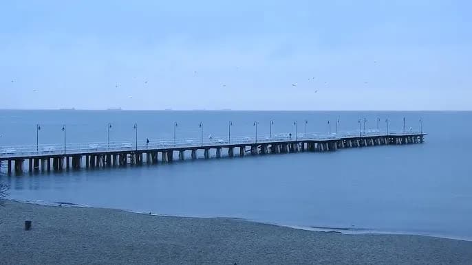 "Żółte kalendarze": Czy znasz morza brzeg? Tekst, historia, symbolika