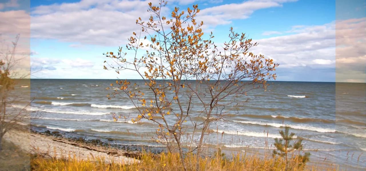 Jod nad Bałtykiem: Hel, Ustka, Łeba gdzie i kiedy po zdrowie?